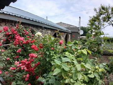 Фотографии Гостевой дом Tatev Emma B&B г. Татев (Армения) №1 Фото Гостевой дом Tatev Emma B&B г. Татев 1
